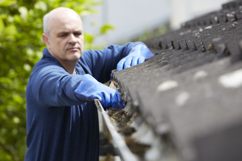 Debris-Free Gutters