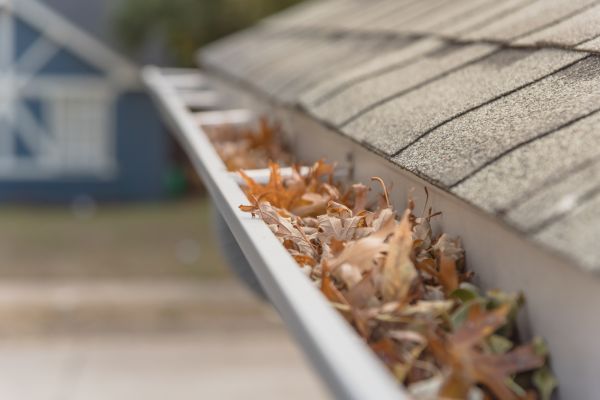 Leaf Barrier Installation in Glenview